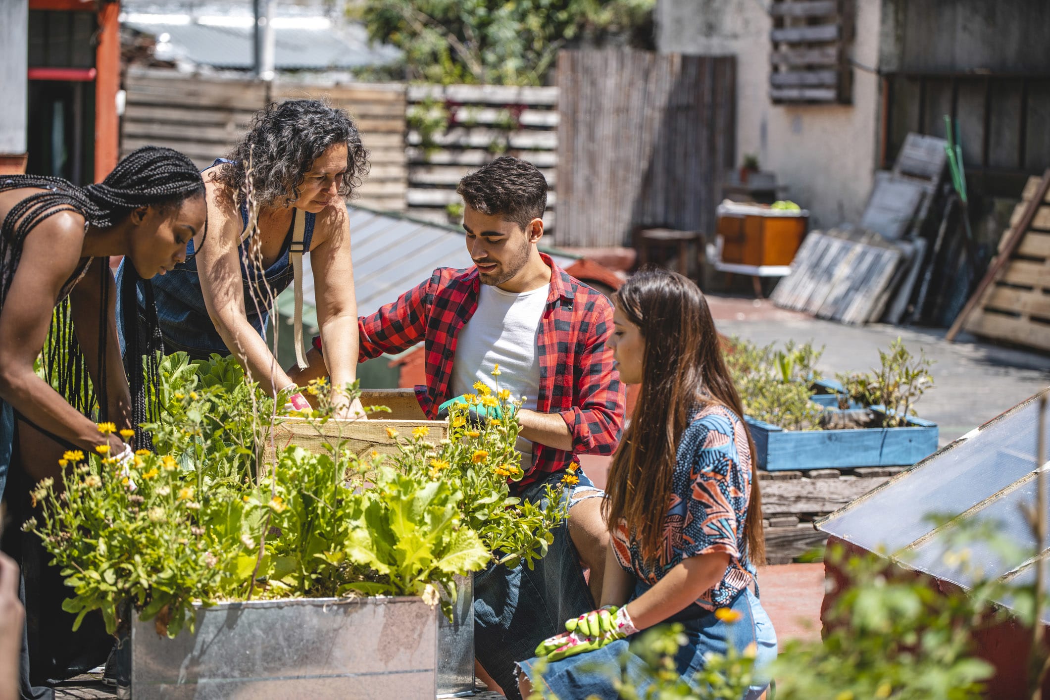 Comment créer un jardin ou un potager partagé ?