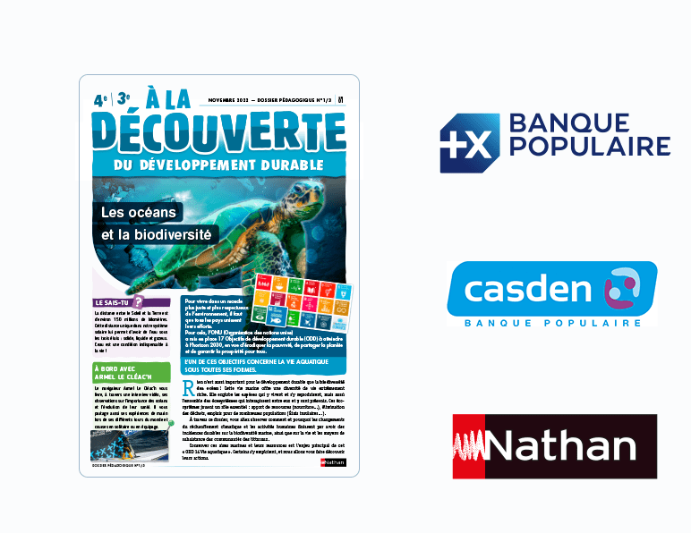 « Les océans et la biodiversité » : un dossier pédagogique à télécharger