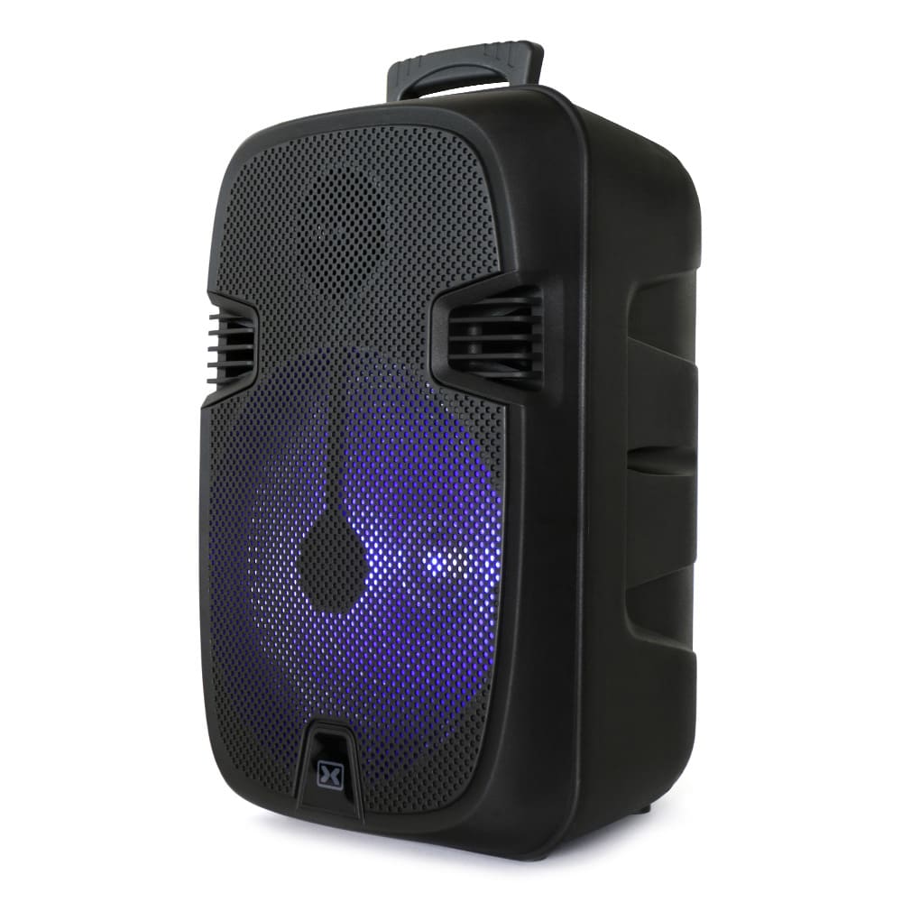 Dixon 12" Battery-powered Party Speaker 