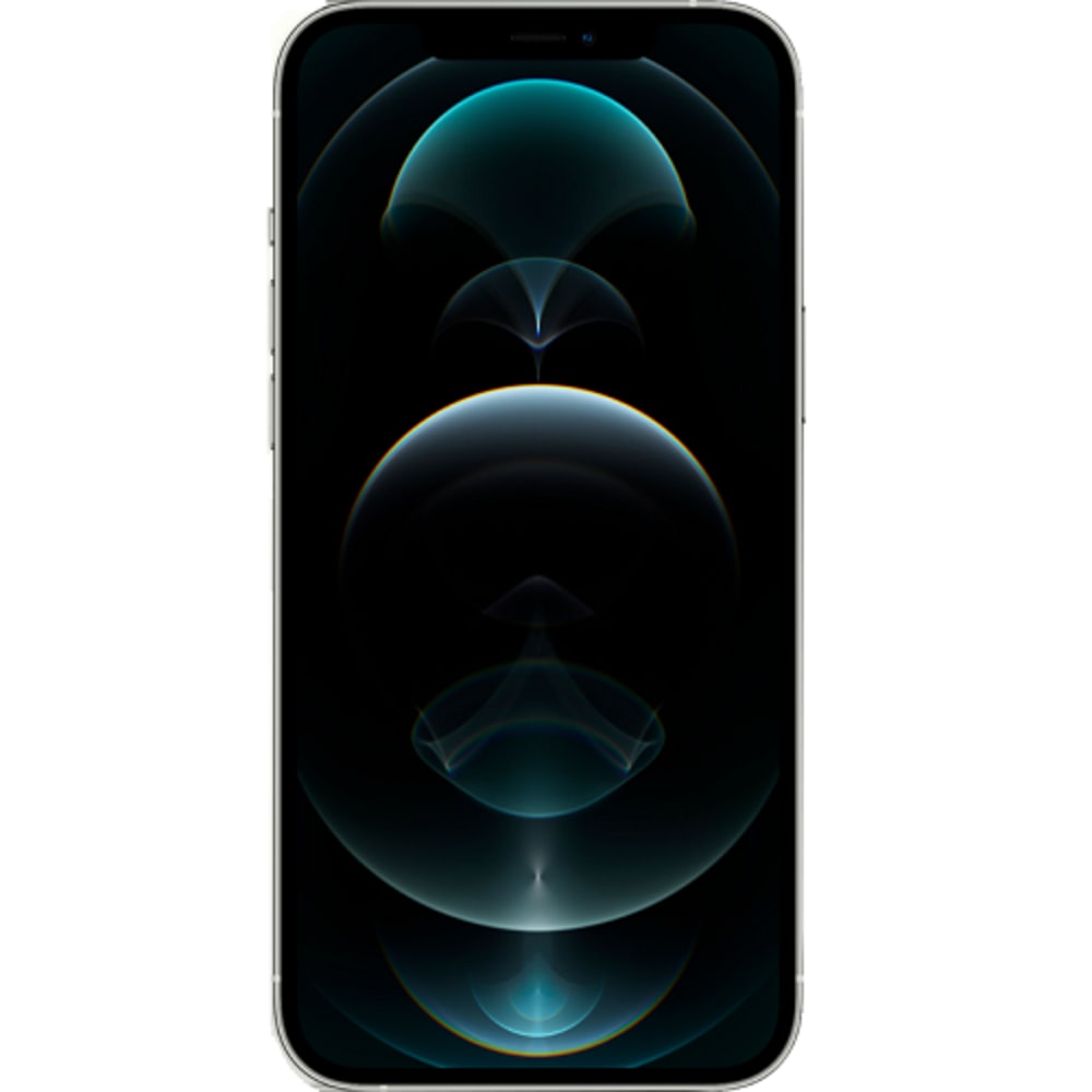 APPLE IPHONE 12 PRO MAX (256GB)