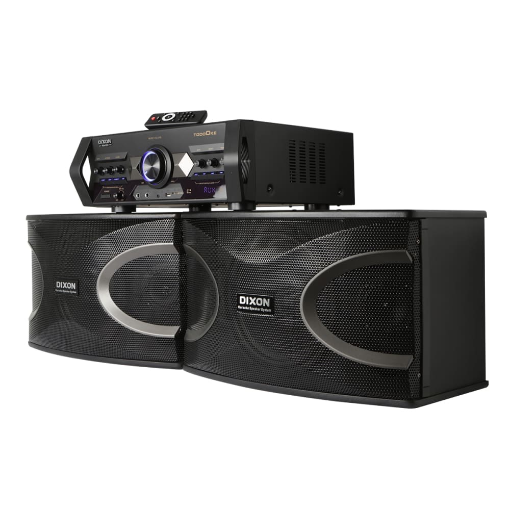 Dixon Stereo Speaker System 