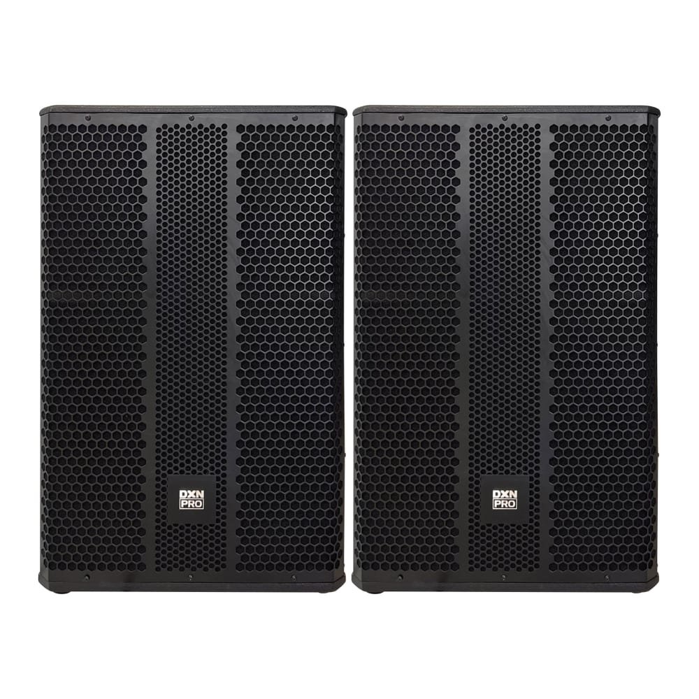 DXNPRO 15-inch 300W RMS Speaker
