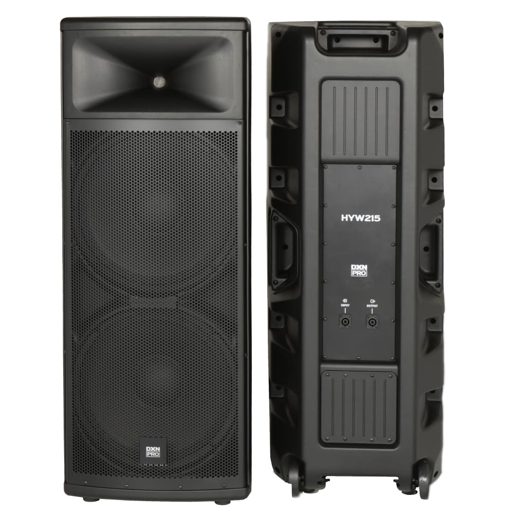 DXNPRO 15" Passive Speakers 600W RMS (PAIR)