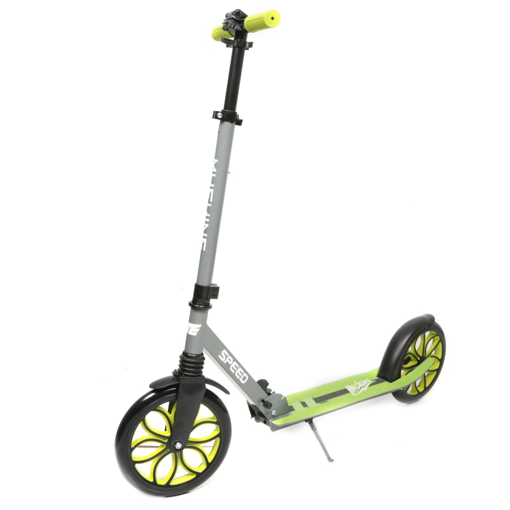 Foldable Steel Scooter with 23cm Wheels