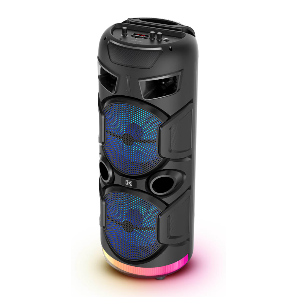 Dixon Dual 8" Party Speaker