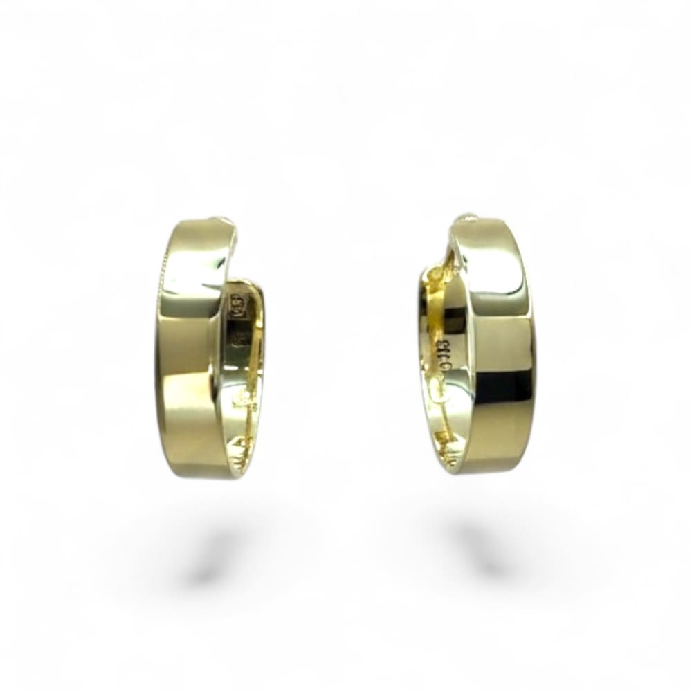9ct Yellow Gold D-Shape Hoop Earrings