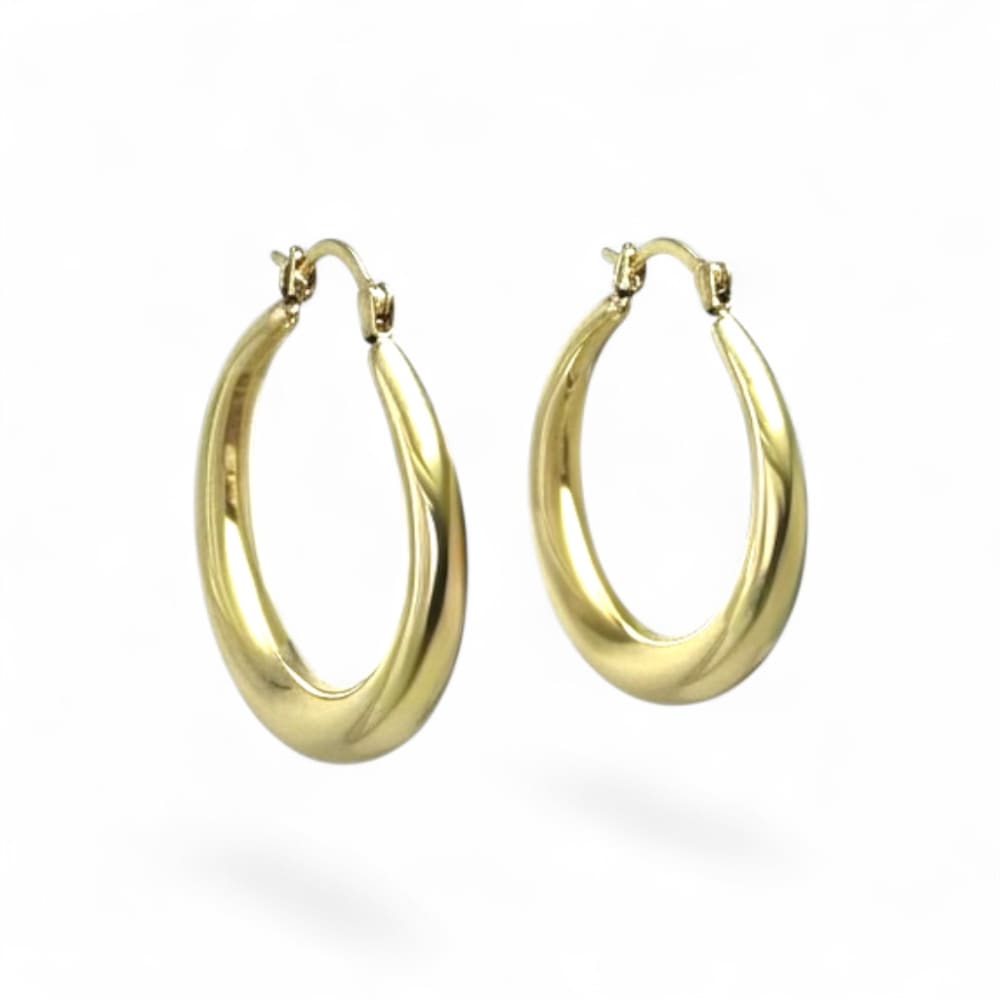 9ct Yellow Gold Hoop Earrings