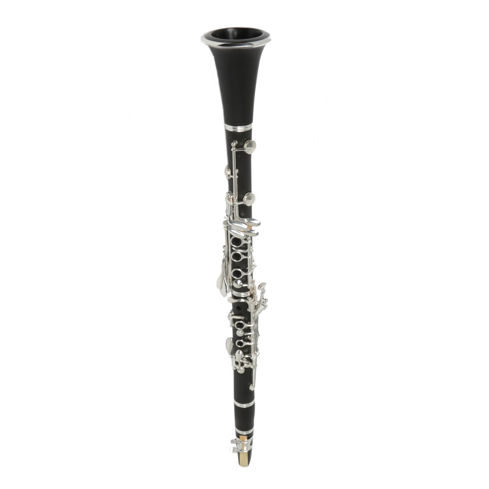 JINYIN Bb Clarinet with 17 Keys & Protective Case