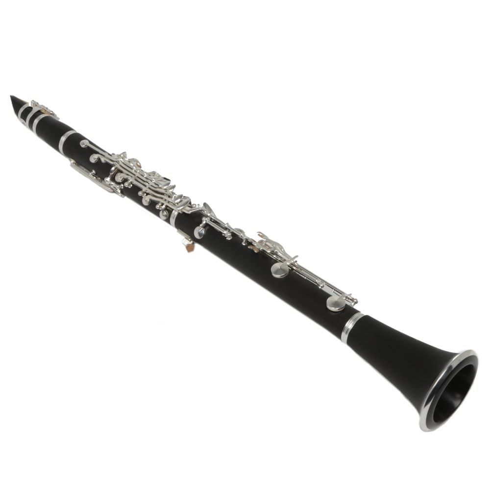 JINYIN Bb Clarinet with 17 Keys & Protective Case