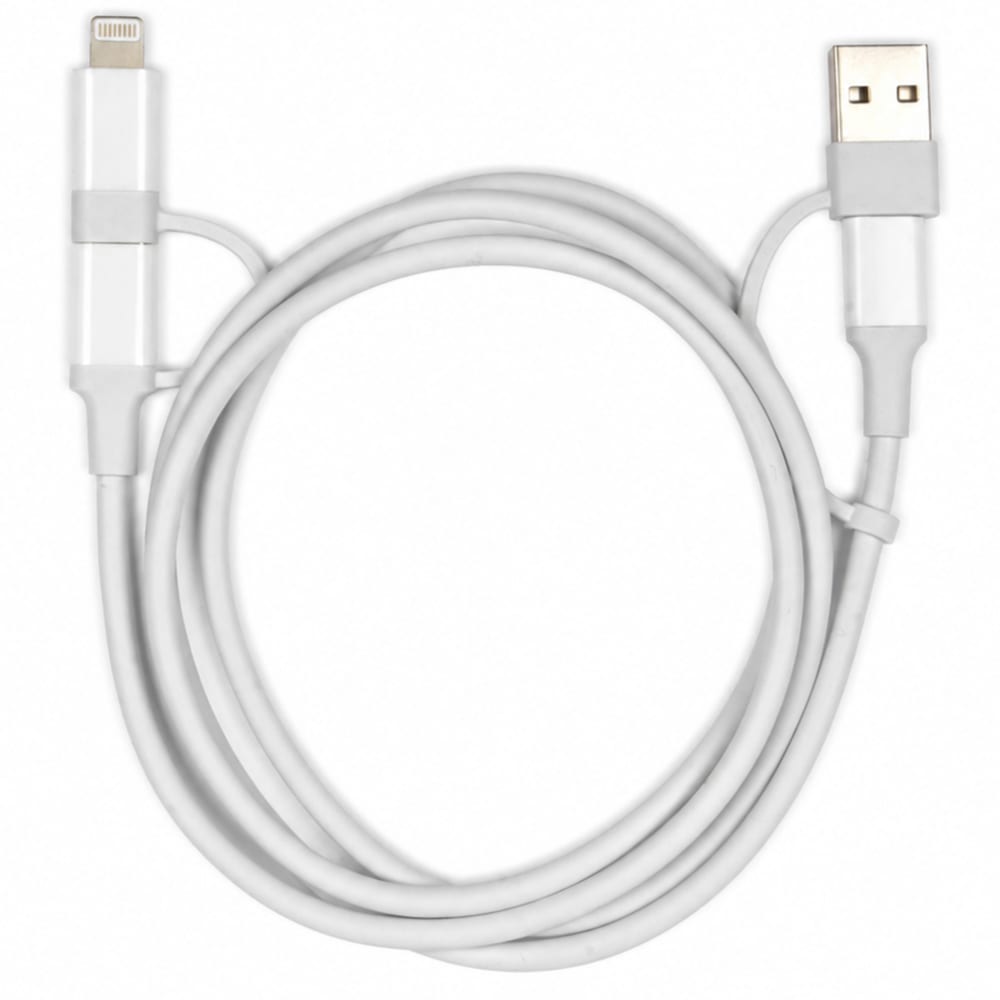DIXON 4-in-1 Multi-charging and Data Sync Cable 