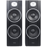 DIXON Dual 10 ” Home Theatre Stereo Tower Speakers