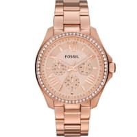 FOSSIL LADIES ANALOGUE WATCH (AM4483)