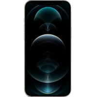 APPLE iPhone 12 PRO MAX (256GB)
