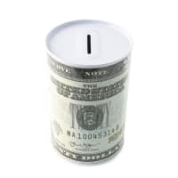 Tin Money Bank USD