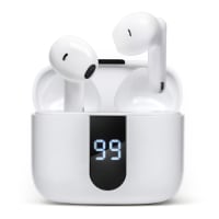 Dixon True Wireless Earbuds