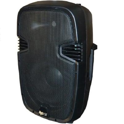 HYBRID 12" 170W DJ SPEAKERS (PM12)