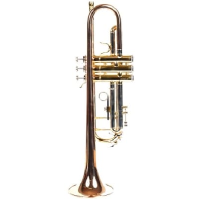 SANCHEZ B FLAT TRUMPET (STRM300G)