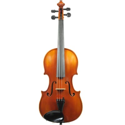 SANDNER 4/4 RV VIOLIN (SNR-RV2)