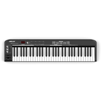 Midi keyboard cash crusaders hot sale