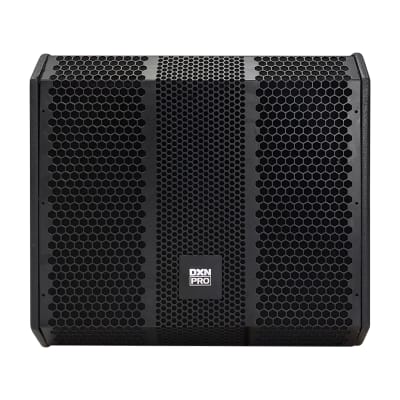 DXNPRO 18” 600W RMS bass bin