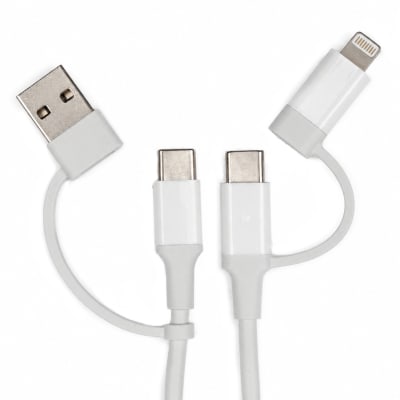 DIXON 4-in-1 Multi-charging and Data Sync Cable 