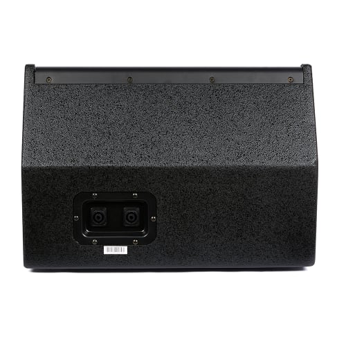 Dxn Pro 12" 600w Passive 2Way Coaxial Stage Monitor Cash Crusaders