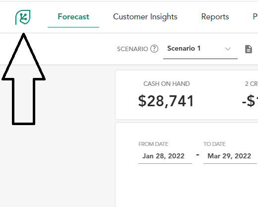 replace-cash-flow-dashboard-logo