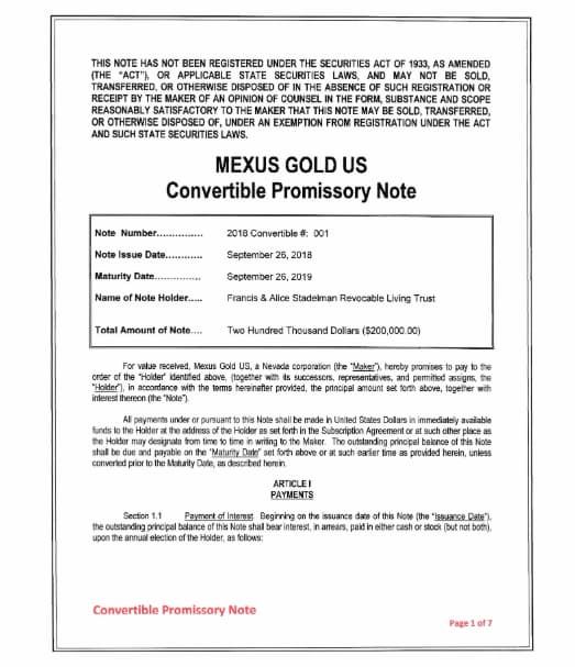 convertible-debt-promissory.jpg