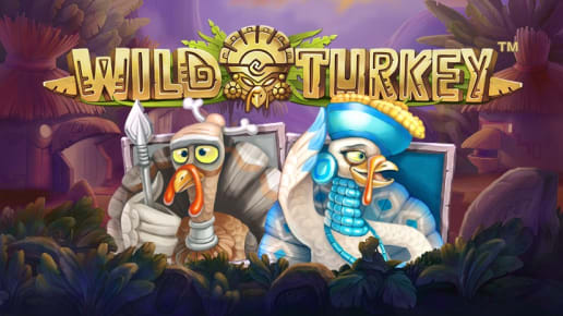 Wild Turkey