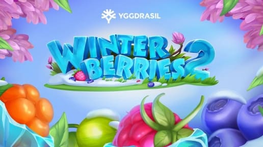 Winterberries 2