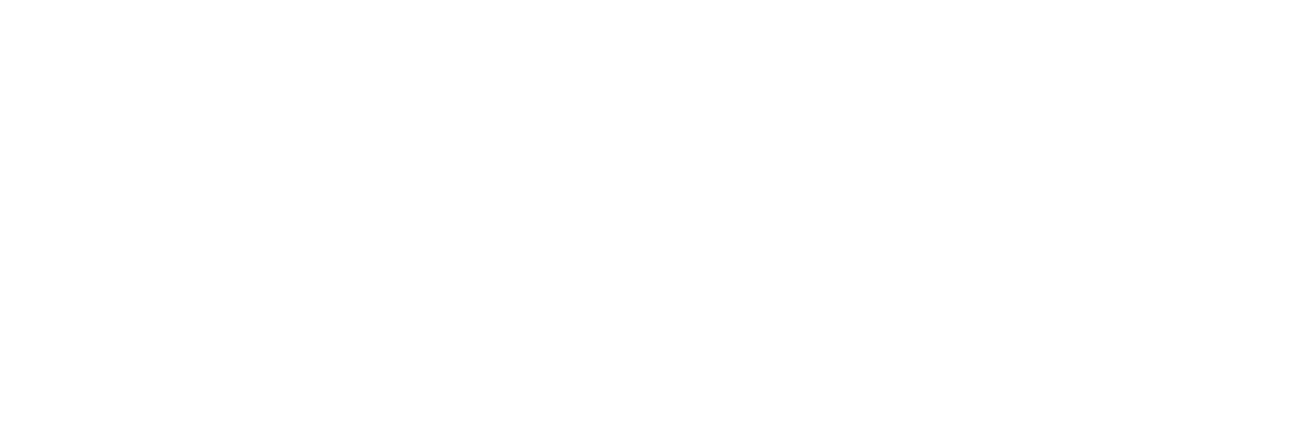 duel