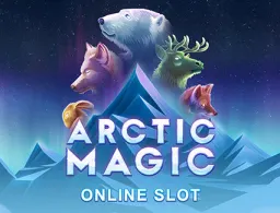 arctic-magic logo