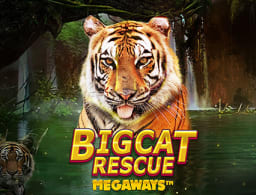 big-cat-rescue-megaways logo
