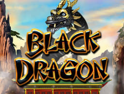 black-dragon logo
