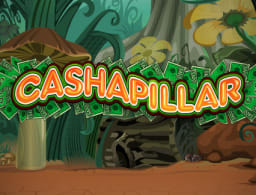 cashapillar logo