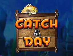 catch-of-the-day logo