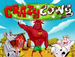 crazy-cows logo