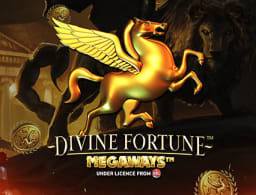 divine-fortune-megaways logo