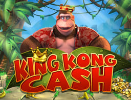 king-kong-cash logo