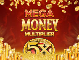 mega-money-multiplier logo