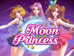 moon-princess logo