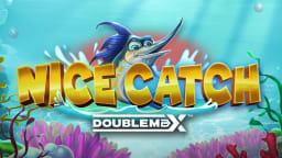 nice-catch-doublemax logo