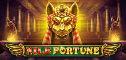 nile-fortune logo