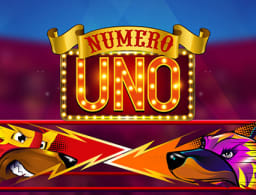 numero-uno logo