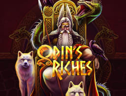 odin-s-riches logo