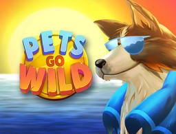 pets-go-wild logo