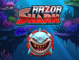 razor-shark logo