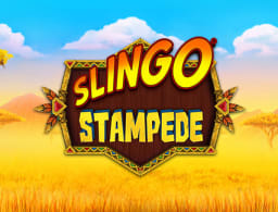 slingo-stampede logo