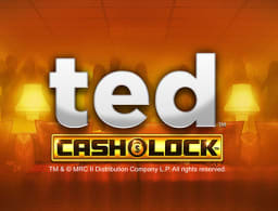 ted-cash-lock logo