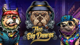 the-big-dawgs logo